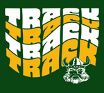 Load image into Gallery viewer, Groovy Vikings Track
