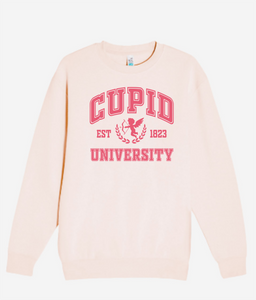 Cupid University