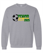 Load image into Gallery viewer, 2024 Senior Soccer Gear
